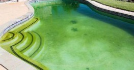Pool Wasser grün